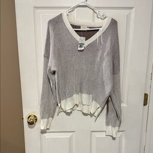Dreamers V-Neck Sweater in Gray and Cream
